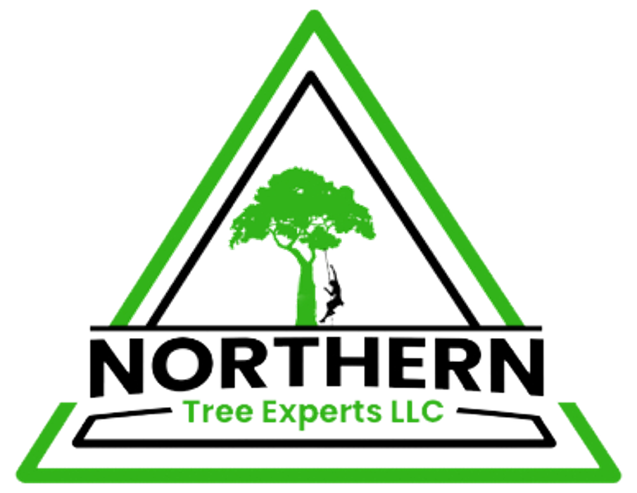 Northern Tree Experts LLC - Fredericksburg, VA