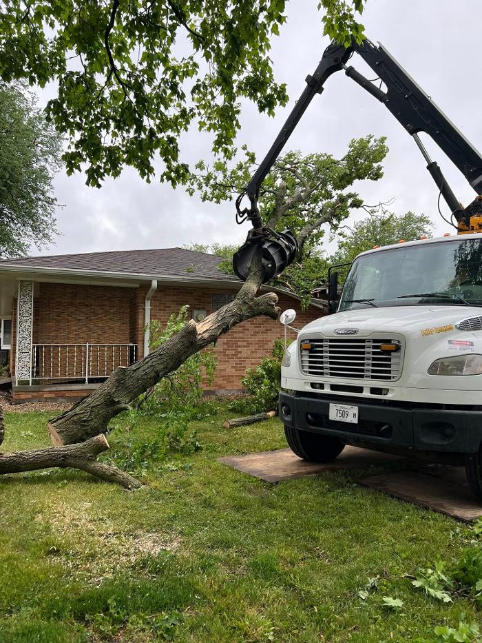 Plue's Tree Service Image