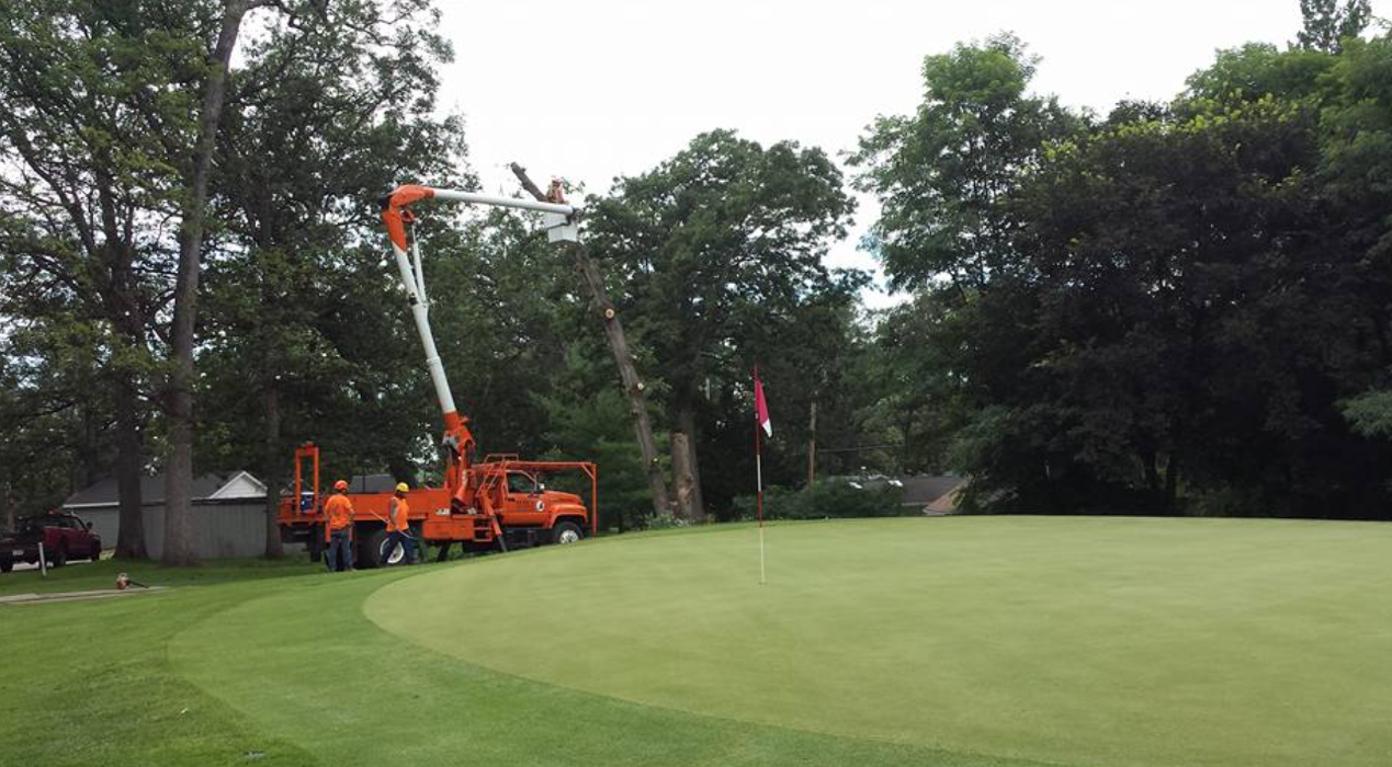 Plue's Tree Service Image