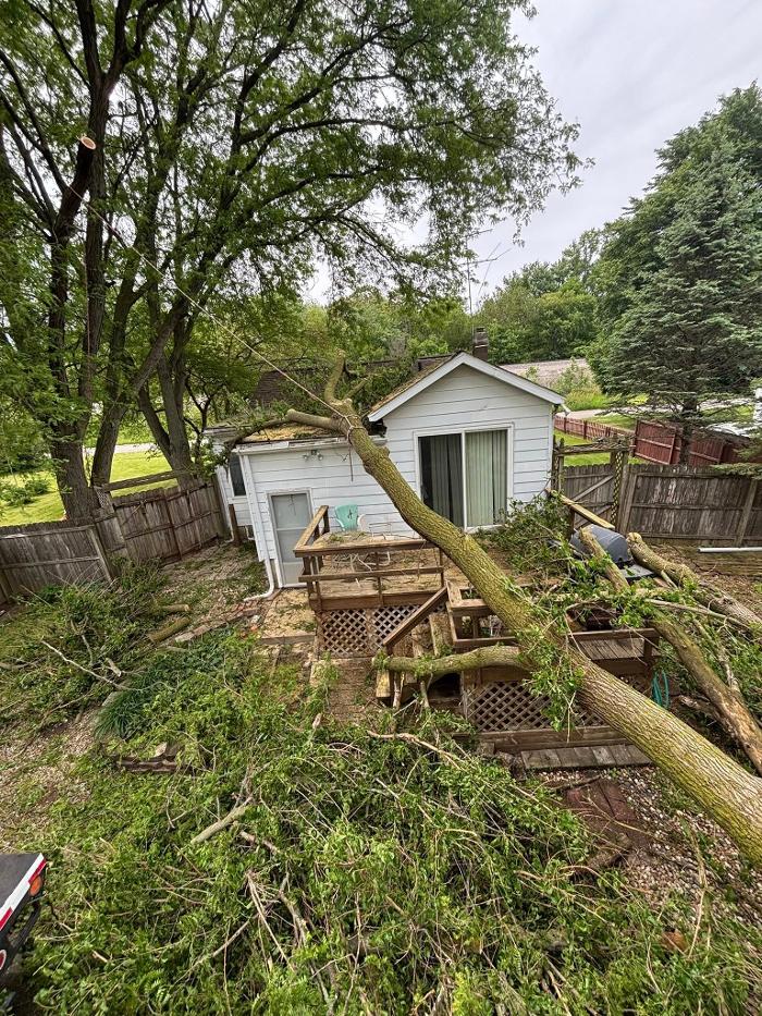 Plue's Tree Service Image