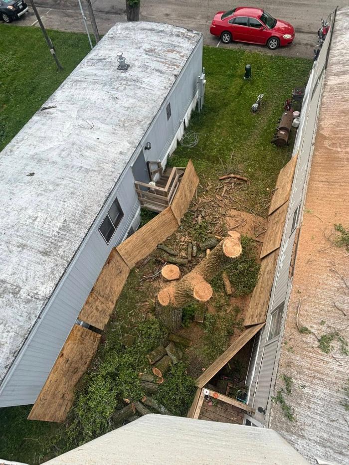 Plue's Tree Service Image