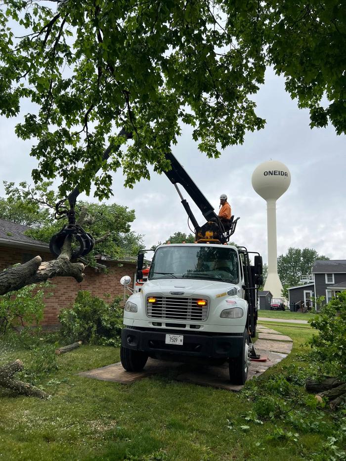 Plue's Tree Service Image