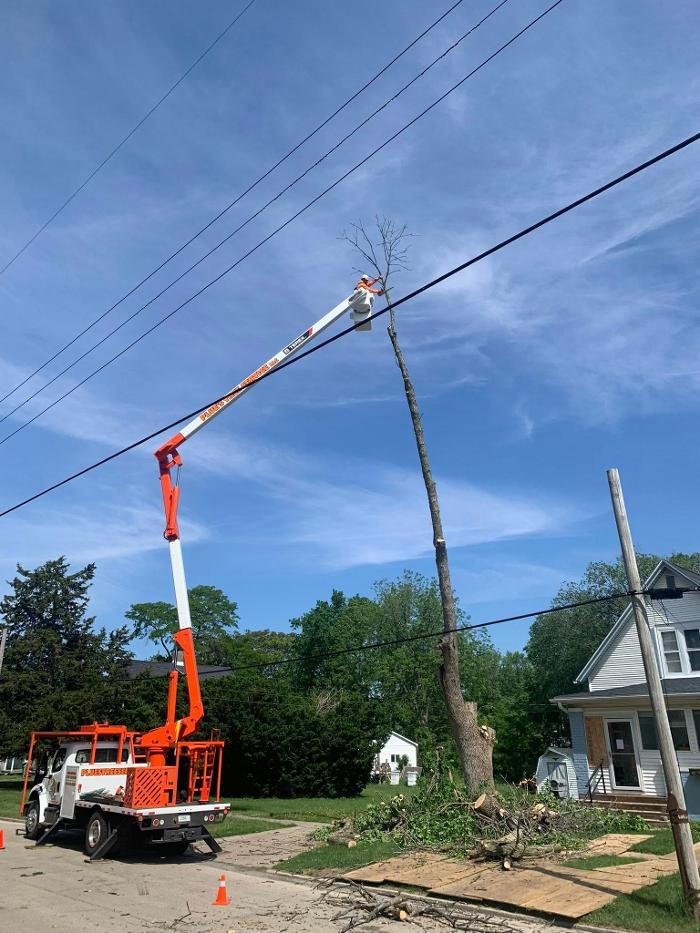 Plue's Tree Service Image