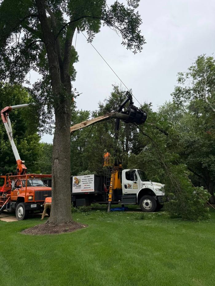 Plue's Tree Service Image