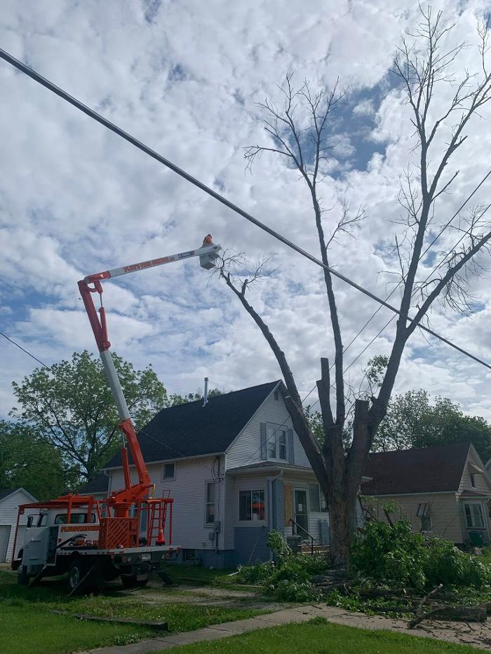 Plue's Tree Service Image