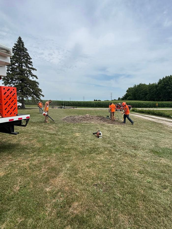 Plue's Tree Service Image