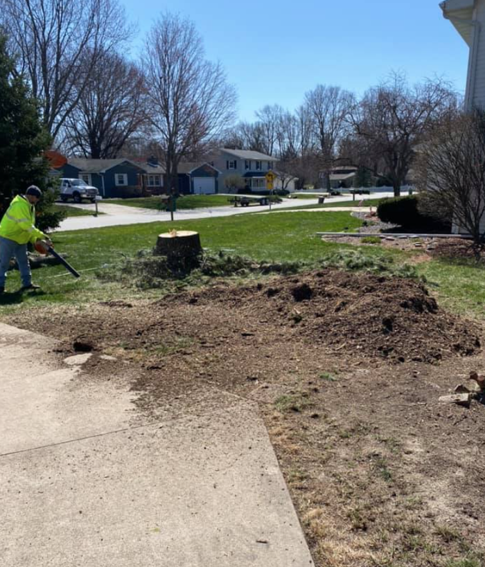 Plue's Tree Service Image