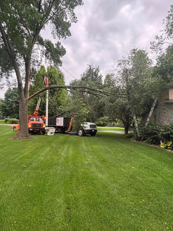 Plue's Tree Service Image