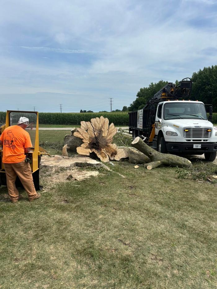 Plue's Tree Service Image