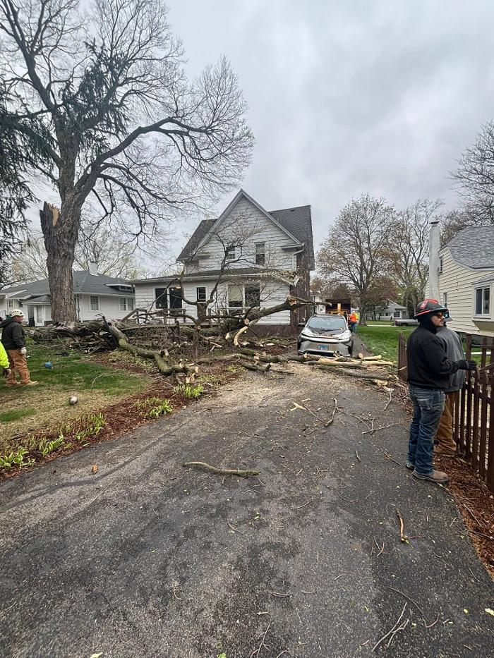 Plue's Tree Service Image