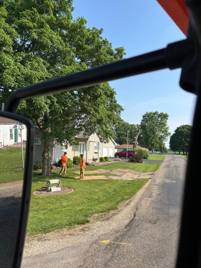 Plue's Tree Service Image