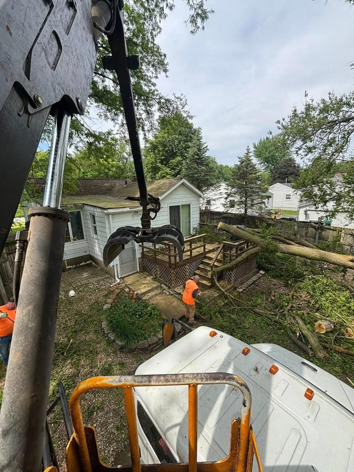 Plue's Tree Service Image