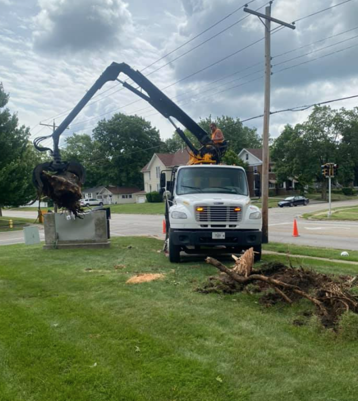 Plue's Tree Service Image