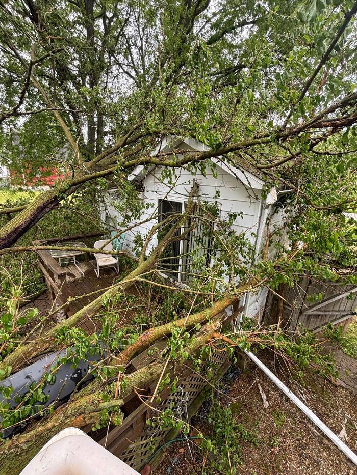 Plue's Tree Service Image