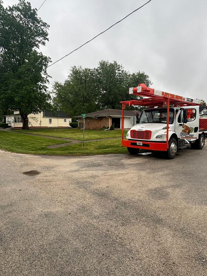 Plue's Tree Service Image