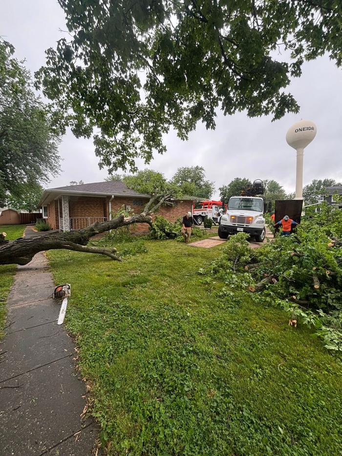 Plue's Tree Service Image