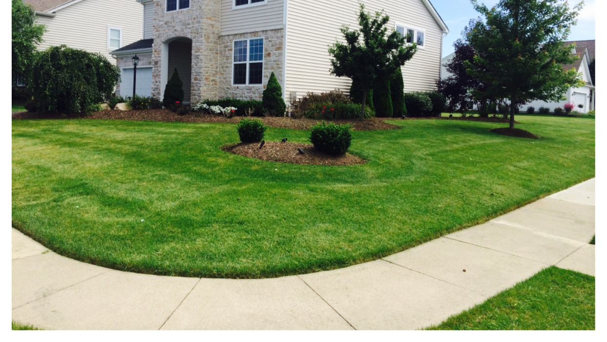 Dreamscapes Ohio Ltd - Groveport, OH