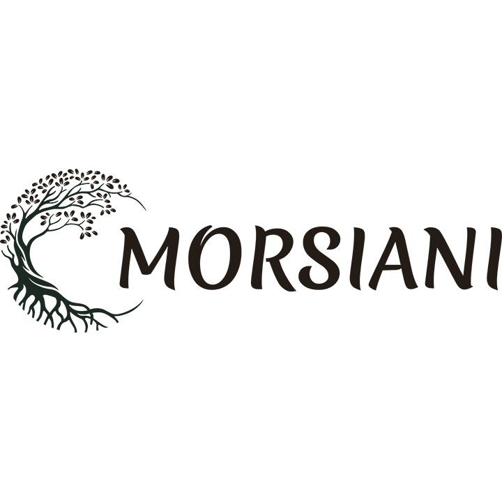 EURL MORSIANI LAURENT Expert