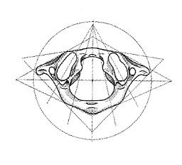 Eric Vandernotte ostéopathe