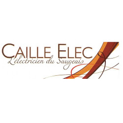 Caille Elec électricité (production, distribution, fournitures)