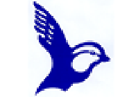 La Mésange Bleue Alimentation