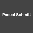 Schmitt Pascal peinture et vernis (détail)