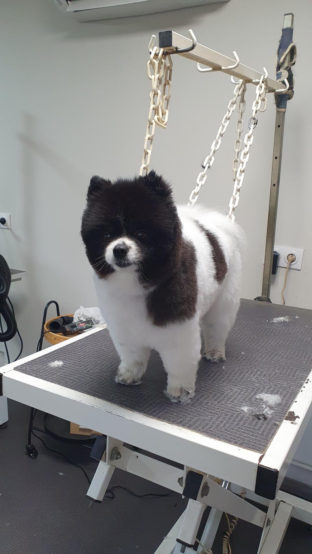 galerie image galerie image