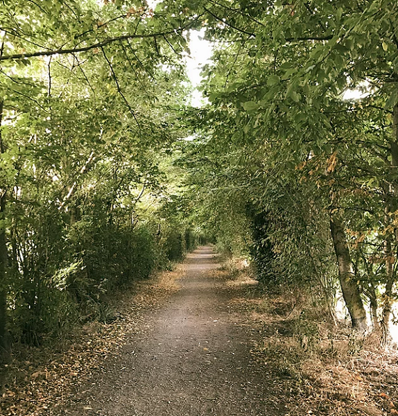 Lelandais Julie réflexologue