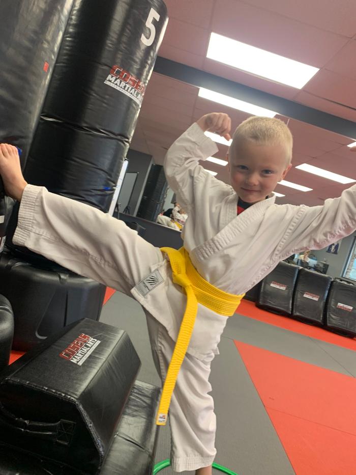 Cosens Martial Arts Fenton, LLC - Fenton, MI