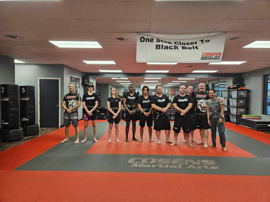 Cosens Martial Arts Fenton, LLC - Fenton, MI