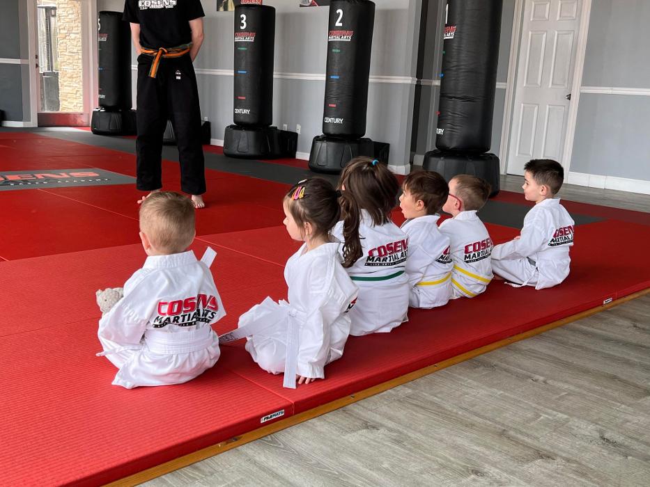 Cosens Martial Arts Fenton, LLC - Fenton, MI