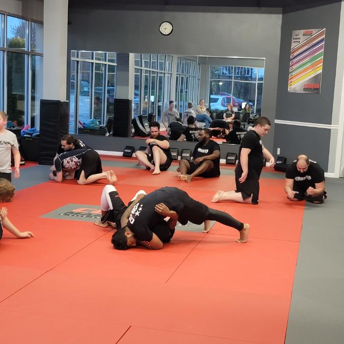 Cosens Martial Arts Fenton, LLC - Fenton, MI