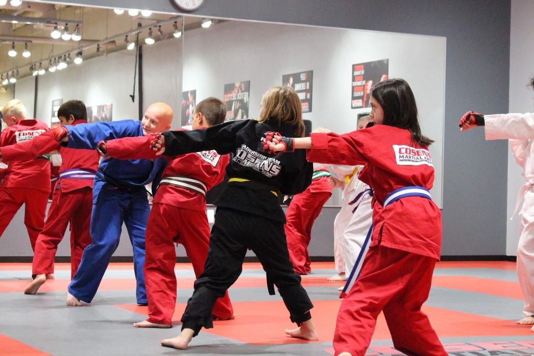 Cosens Martial Arts Fenton, LLC - Fenton, MI
