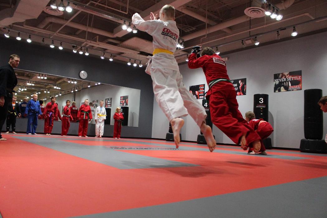 Cosens Martial Arts Fenton, LLC - Fenton, MI