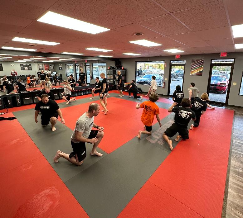 Cosens Martial Arts Fenton, LLC - Fenton, MI