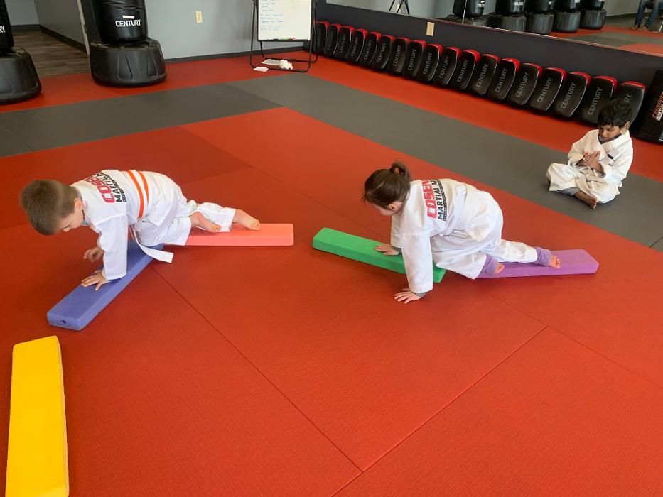 Cosens Martial Arts Fenton, LLC - Fenton, MI