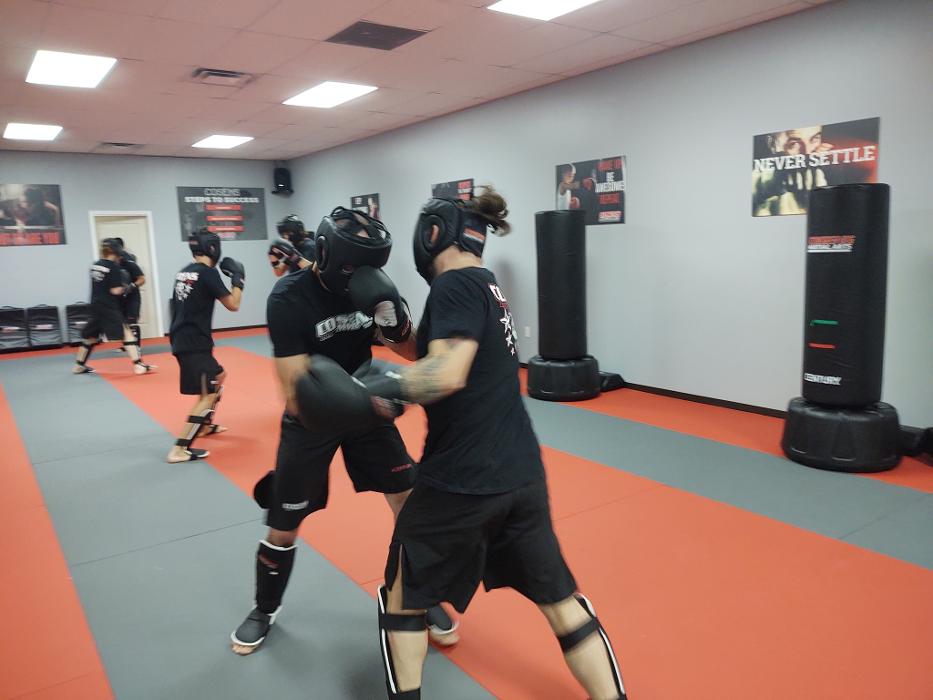 Cosens Martial Arts Fenton, LLC - Fenton, MI