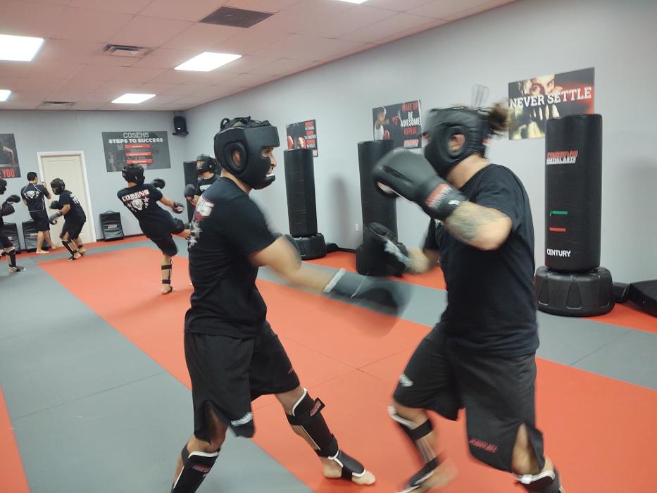 Cosens Martial Arts Fenton, LLC - Fenton, MI