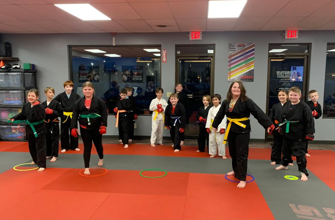 Cosens Martial Arts Fenton, LLC - Fenton, MI