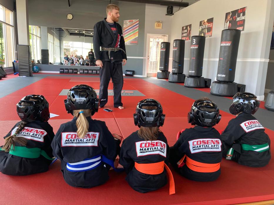 Cosens Martial Arts Fenton, LLC - Fenton, MI
