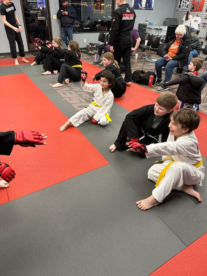 Cosens Martial Arts Fenton, LLC - Fenton, MI