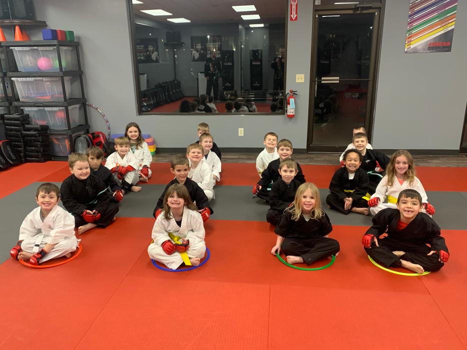 Cosens Martial Arts Fenton, LLC - Fenton, MI