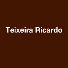 Teixeira Ricardo Expert