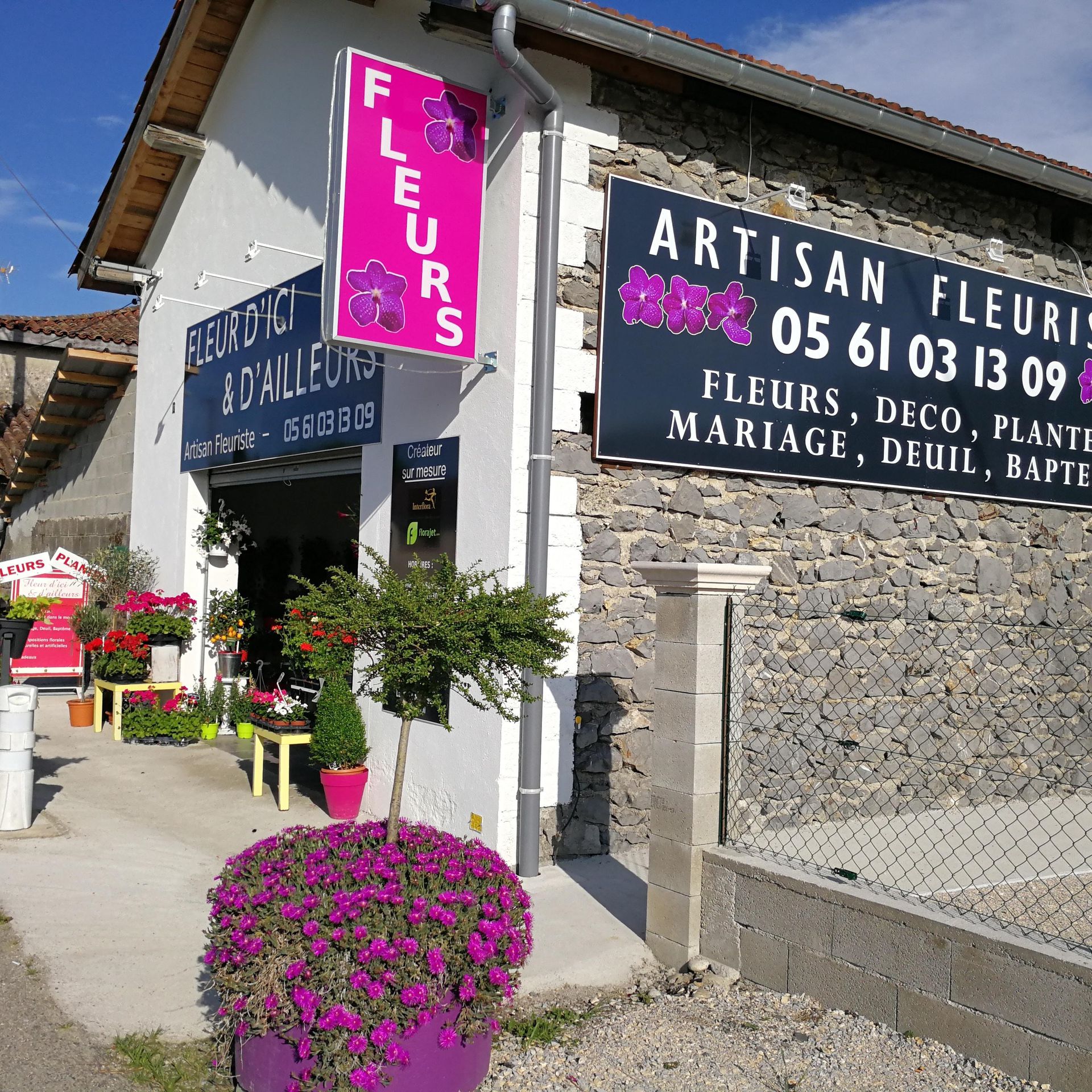 galerie image