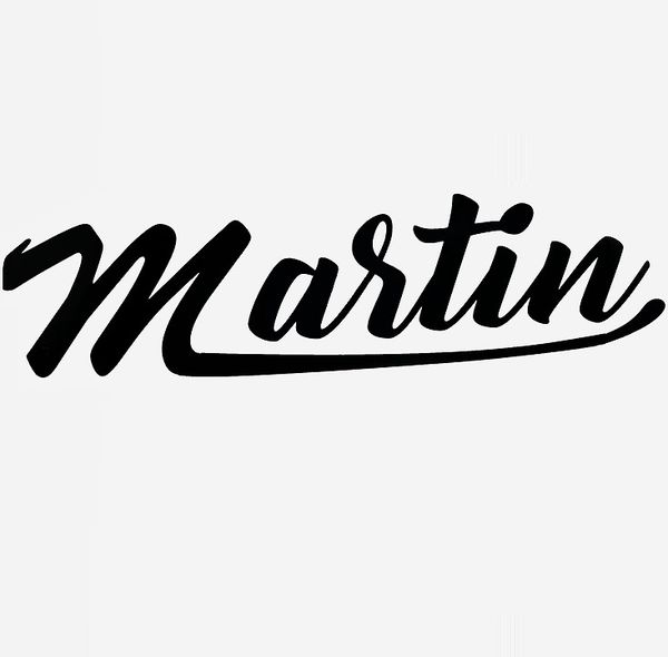 Martin Curan SAS Expert