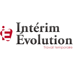 Interim Evolution Pôle emploi, Assedic, Anpe