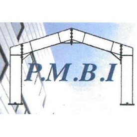 PMBI Expert