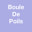 Boule De Poils