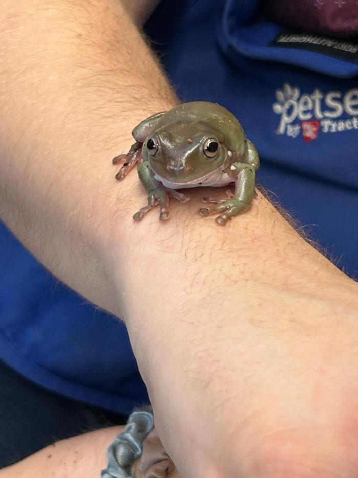 Petsense by Tractor Supply
