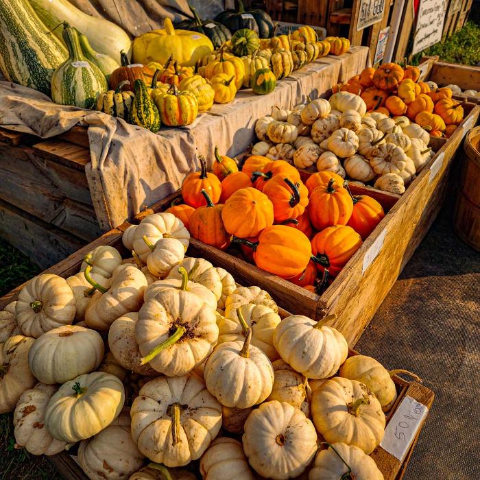 Lead Creek Farm - Hawesville, KY